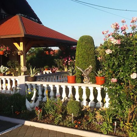 Guesthouse Tomas Čatrnja Zewnętrze zdjęcie
