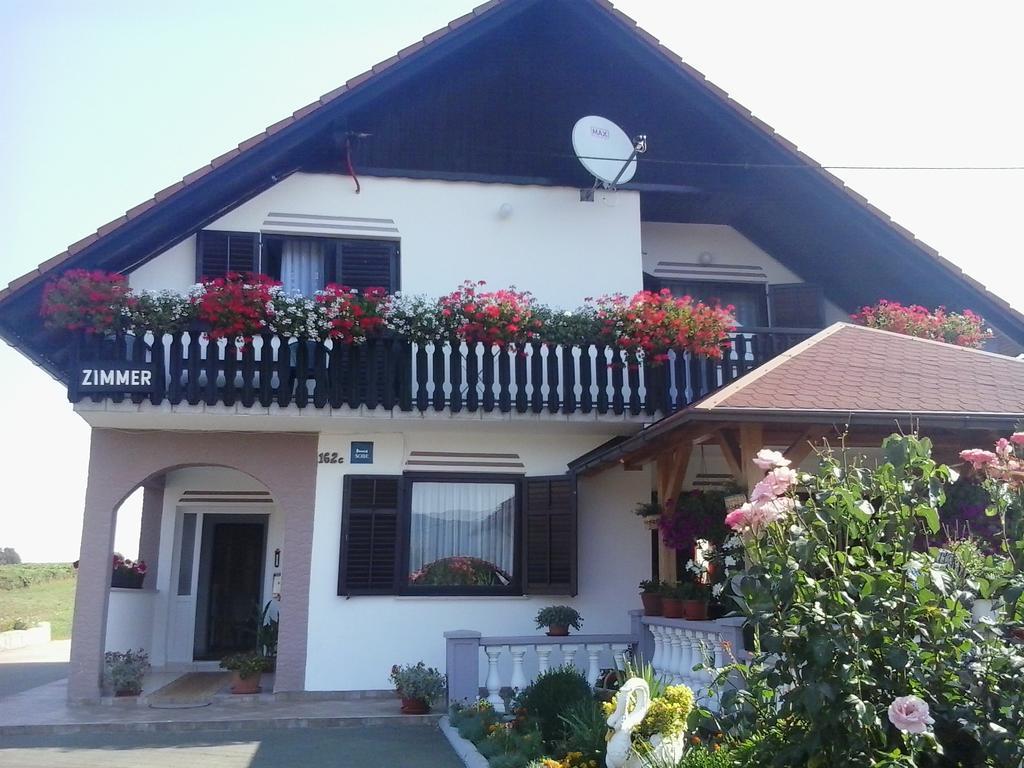 Guesthouse Tomas Čatrnja Zewnętrze zdjęcie