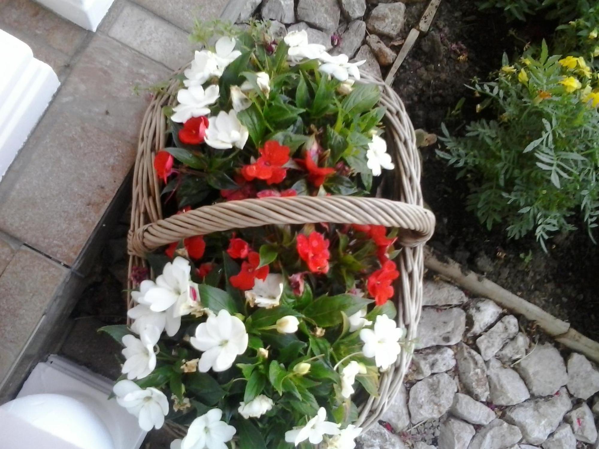 Guesthouse Tomas Čatrnja Zewnętrze zdjęcie