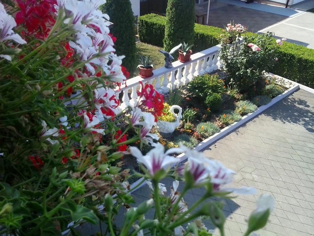 Guesthouse Tomas Čatrnja Zewnętrze zdjęcie