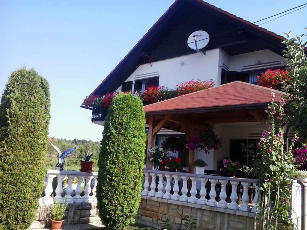 Guesthouse Tomas Čatrnja Zewnętrze zdjęcie