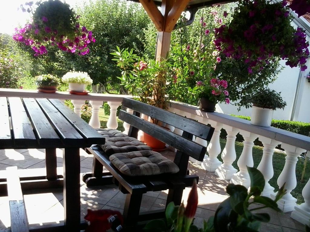 Guesthouse Tomas Čatrnja Zewnętrze zdjęcie