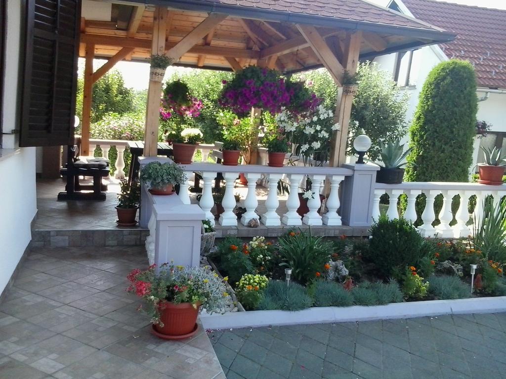 Guesthouse Tomas Čatrnja Zewnętrze zdjęcie