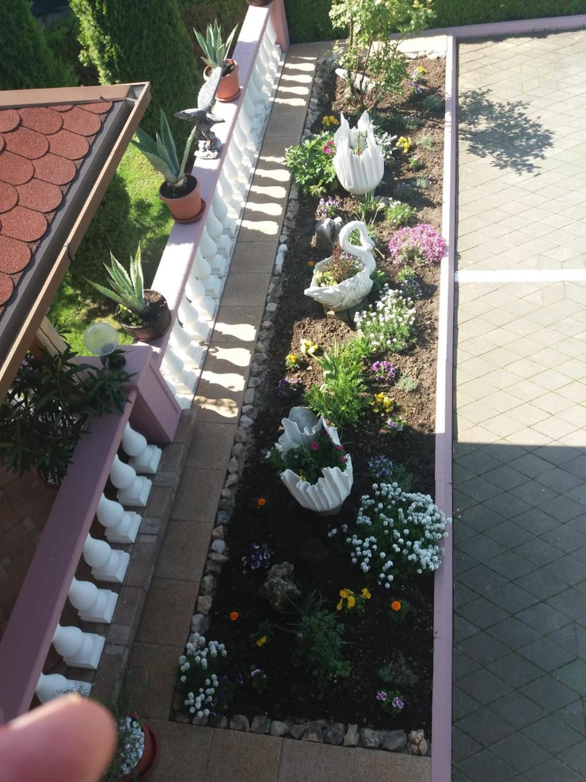 Guesthouse Tomas Čatrnja Zewnętrze zdjęcie