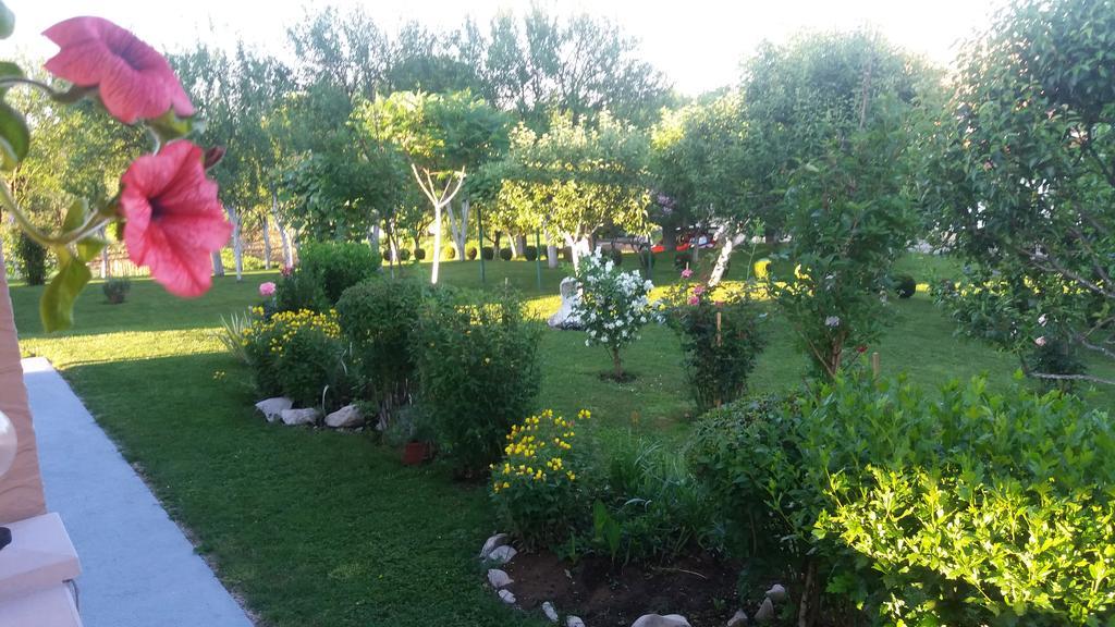 Guesthouse Tomas Čatrnja Zewnętrze zdjęcie