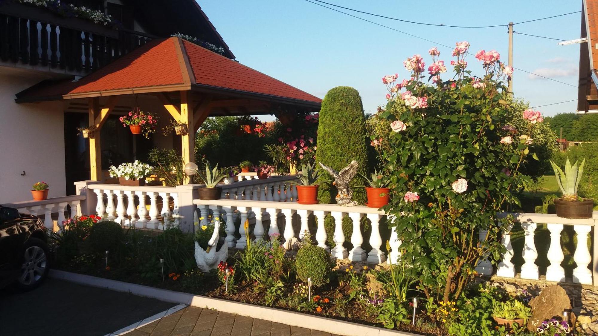Guesthouse Tomas Čatrnja Zewnętrze zdjęcie