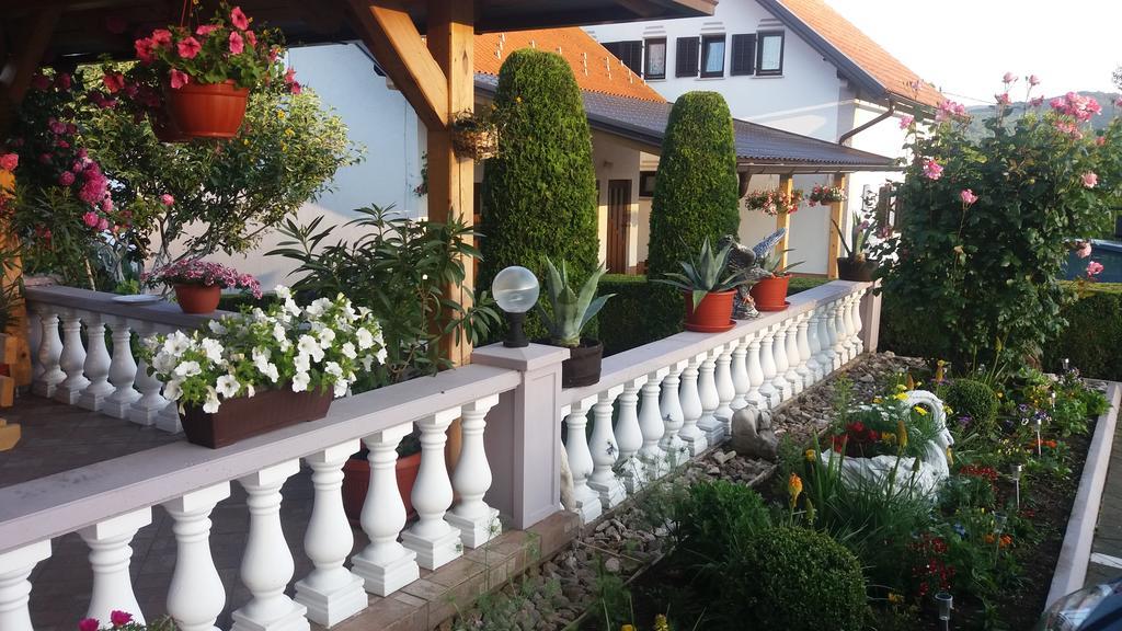 Guesthouse Tomas Čatrnja Zewnętrze zdjęcie
