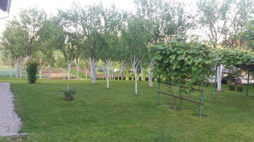 Guesthouse Tomas Čatrnja Zewnętrze zdjęcie