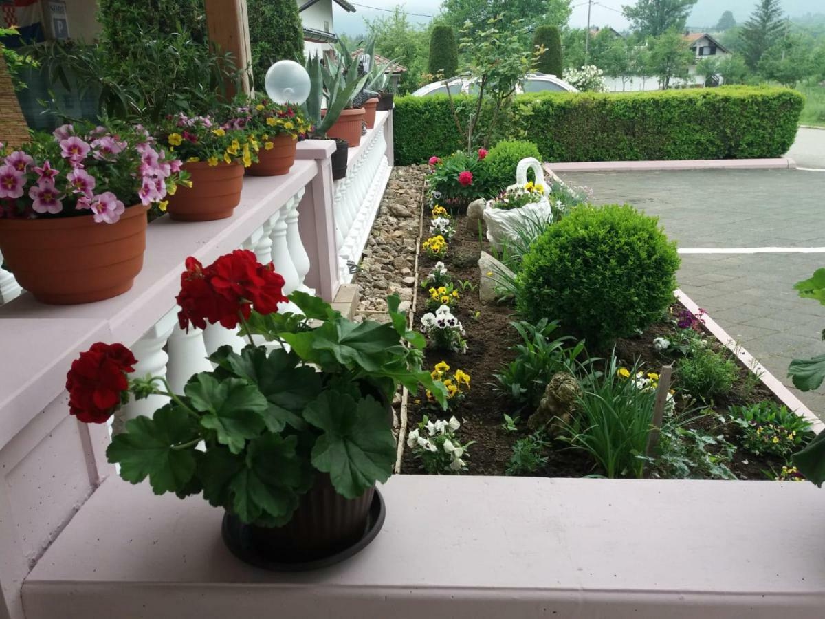 Guesthouse Tomas Čatrnja Zewnętrze zdjęcie