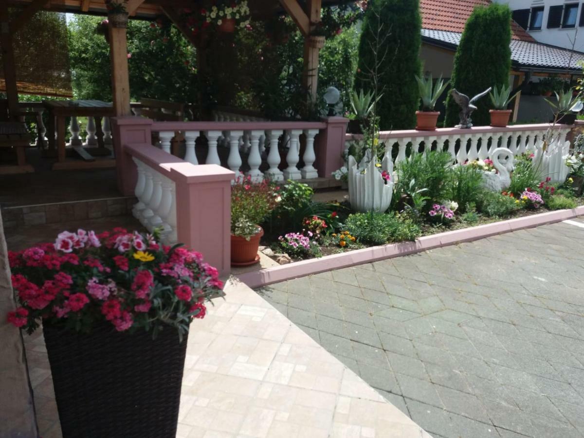 Guesthouse Tomas Čatrnja Zewnętrze zdjęcie