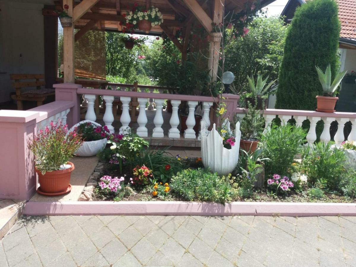 Guesthouse Tomas Čatrnja Zewnętrze zdjęcie