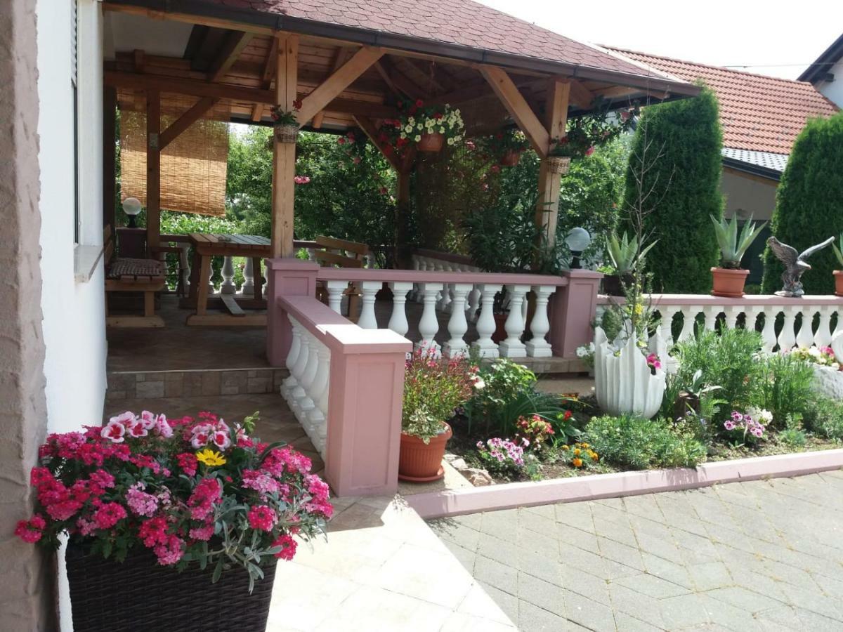 Guesthouse Tomas Čatrnja Zewnętrze zdjęcie